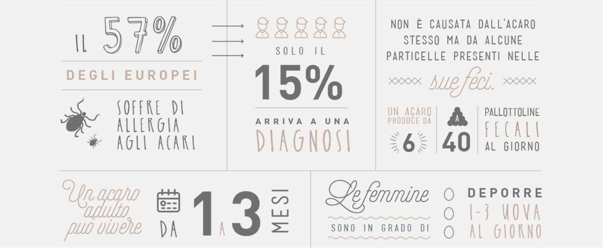 infografica sulla presenza degli acari della polvere