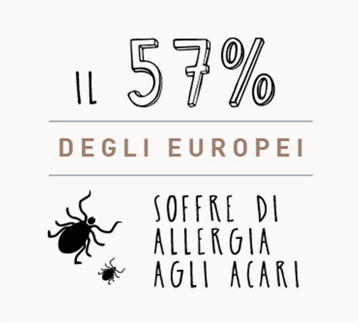 acari, allergia, allergia alla polvere, polvere, materasso, guanciali, materassi Perdormire, materasso antiacaro