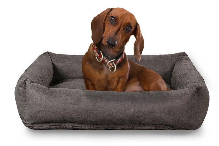 cuccia-per-cane Cuccia per cane Bau by PerDormire