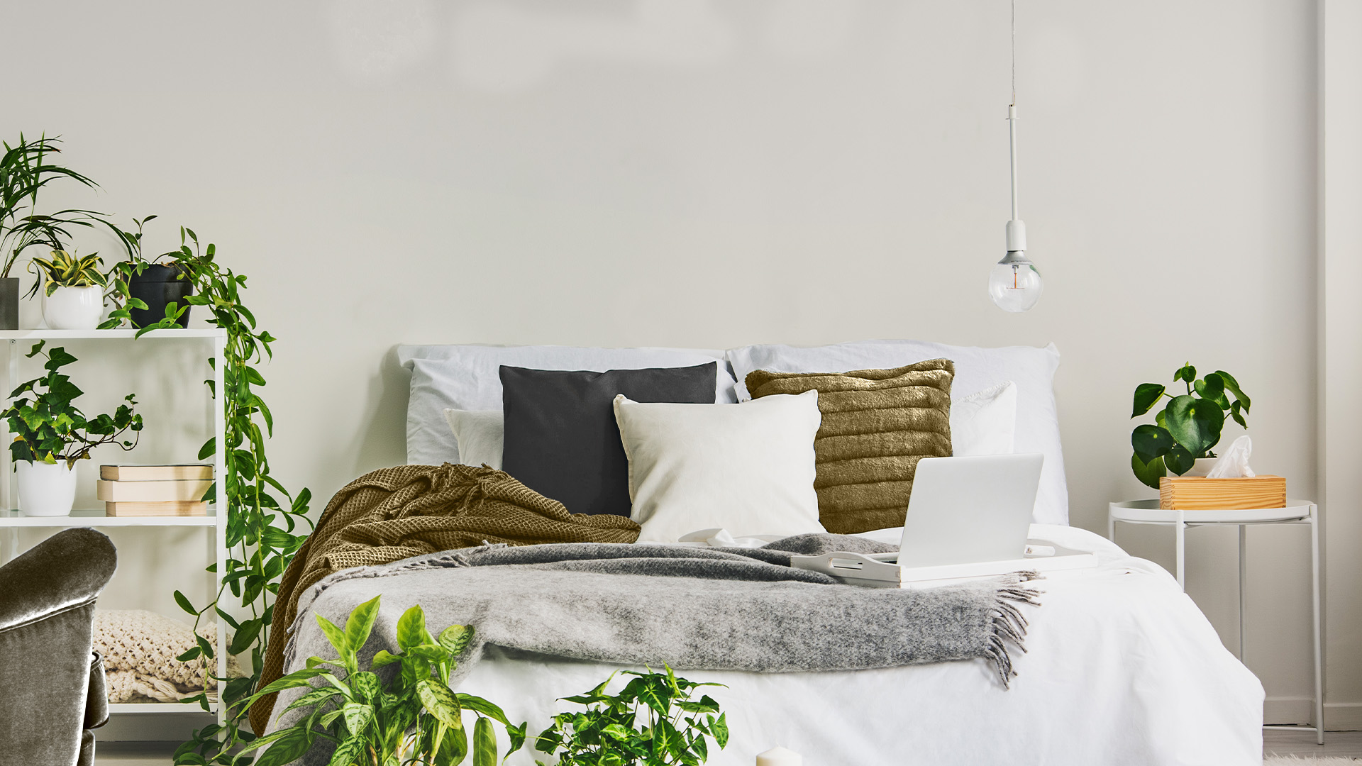 piante-da-interno-camera Piante da interno: idee per la camera