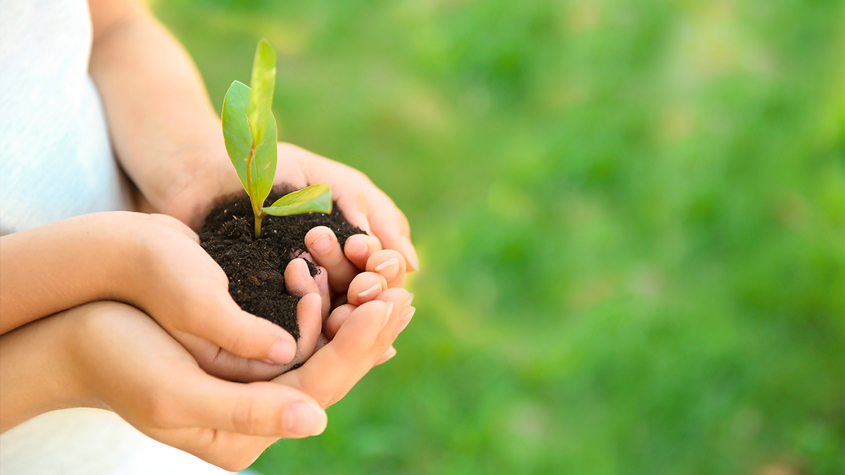 sostenibilità mani che sorreggono terra e pianta